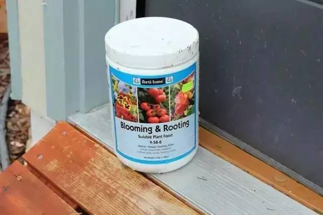 DIY在窗户种鲜花