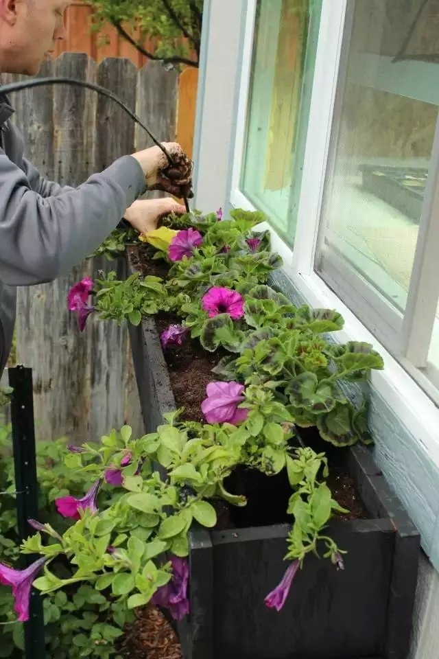 DIY在窗户种鲜花