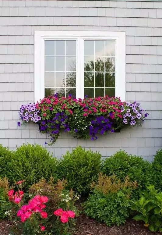 DIY在窗户种鲜花