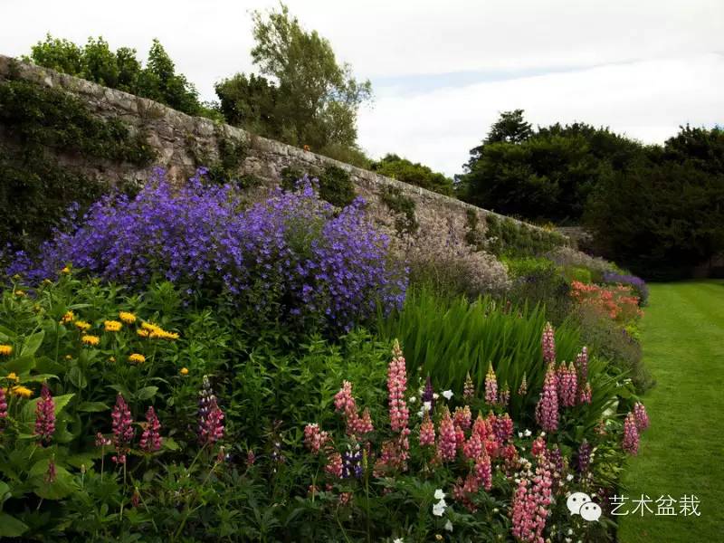 镜头下的花境实景,搭配学起来