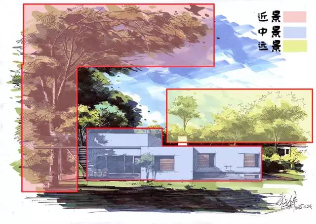 『实战干货』如何手绘植物