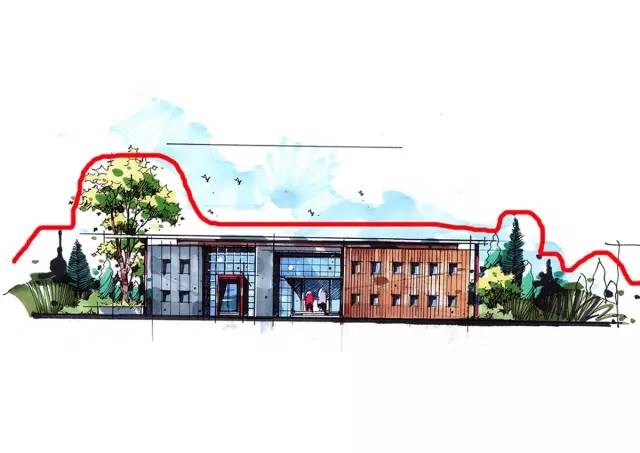 『实战干货』如何手绘植物