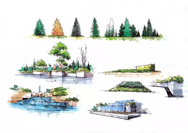 『实战干货』如何手绘植物