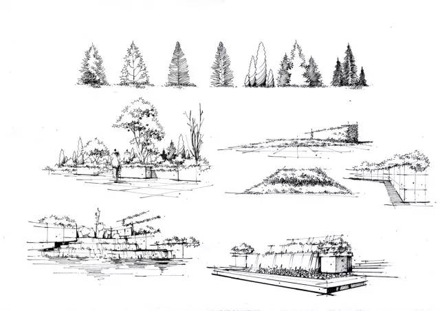 『实战干货』如何手绘植物