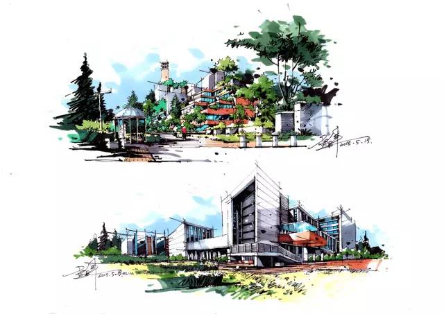 『实战干货』如何手绘植物