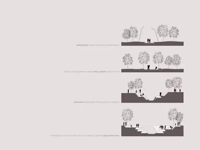 『实战干货』如何手绘植物