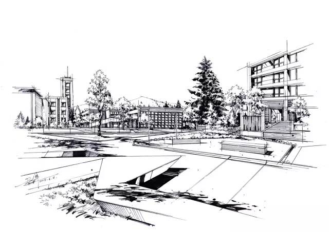 『实战干货』如何手绘植物