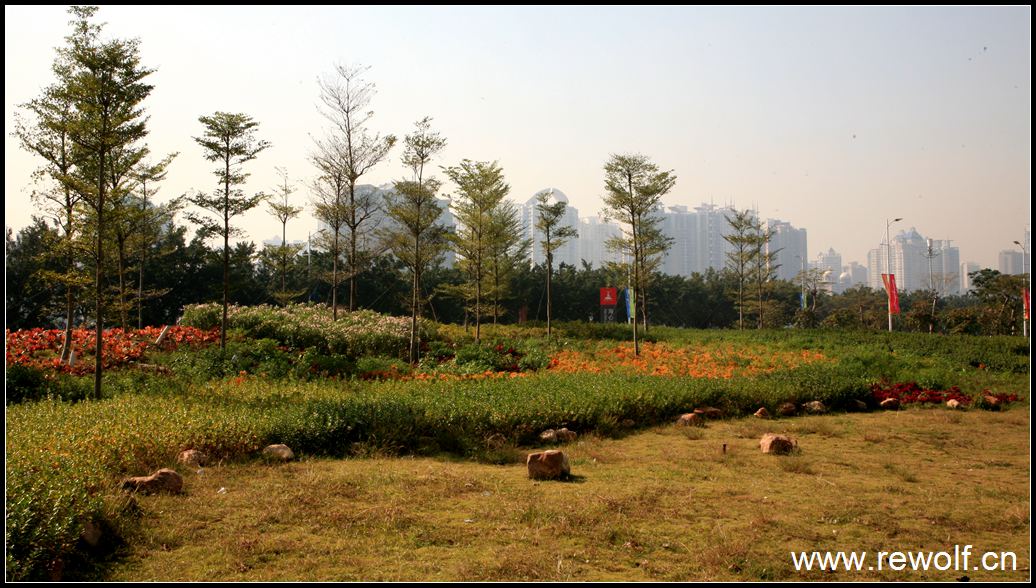 广州二沙岛（2010奥运）