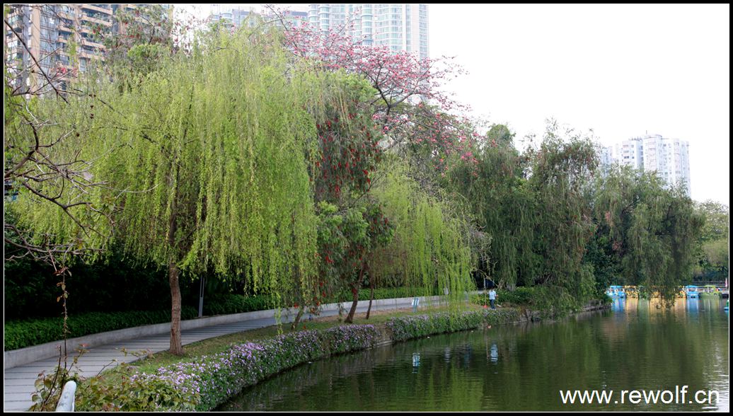 广州二沙岛（2010奥运）