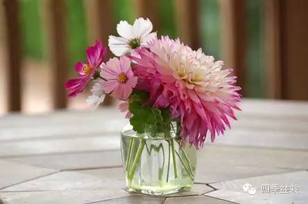 你买的鲜花能放多久？