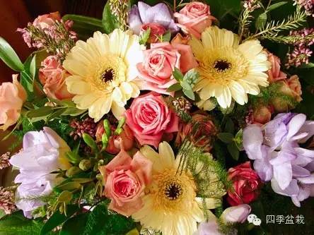 你买的鲜花能放多久？