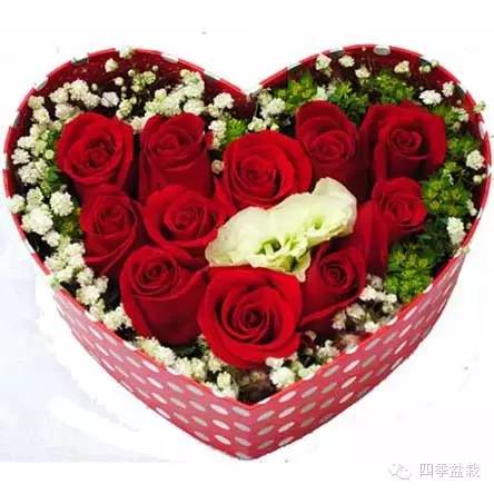 你买的鲜花能放多久？