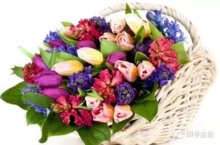 你买的鲜花能放多久？