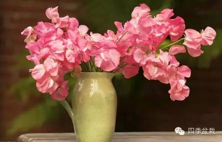 你买的鲜花能放多久？