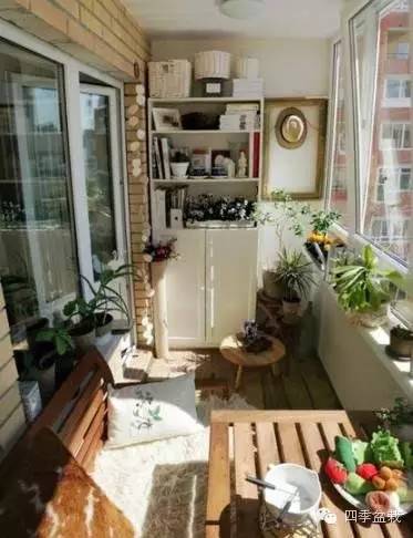 封闭阳台怎么种花？