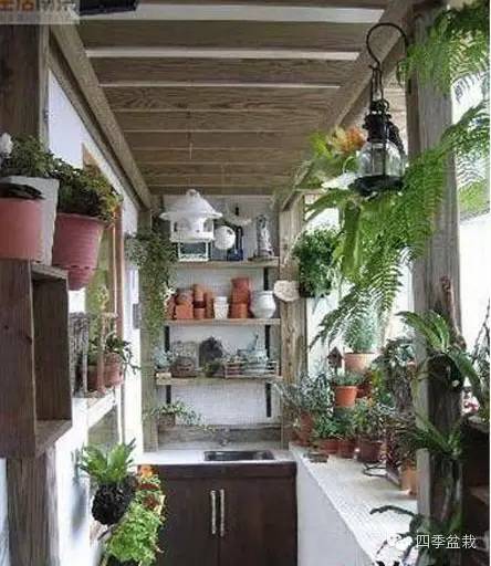封闭阳台怎么种花？