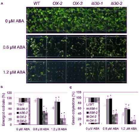 植物应答低温和干旱胁迫研究取得进展