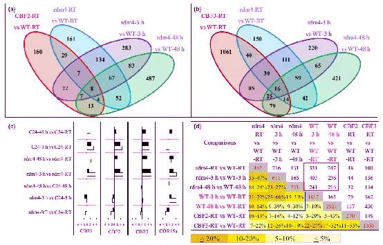 植物应答低温和干旱胁迫研究取得进展