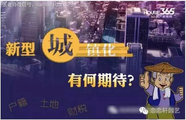 花海的区域推动力和盈利模式