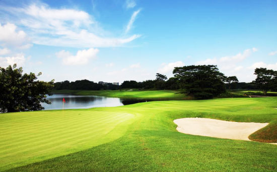 常用草坪杂草虫害防治技术