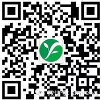 园林植物冻害成因及防护策略