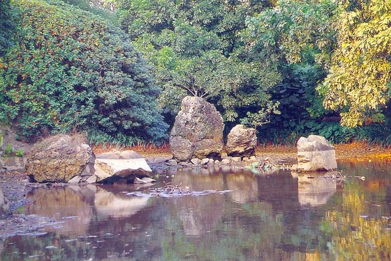 最全园林石景图集