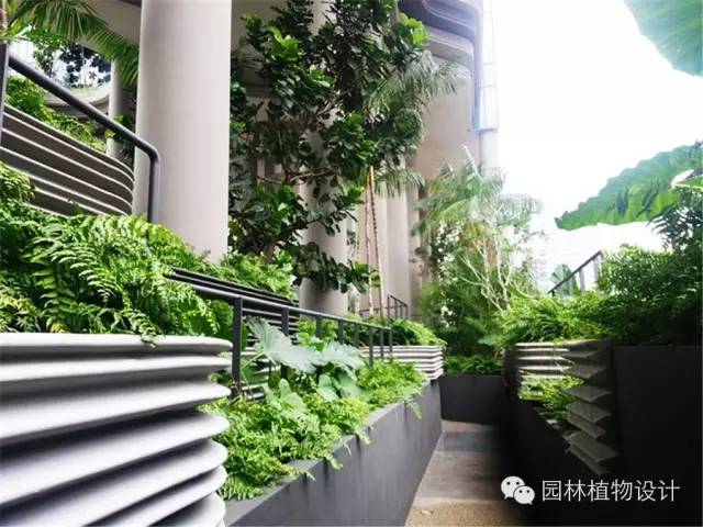 8个&nbsp;· 小区近景绿化植物配置