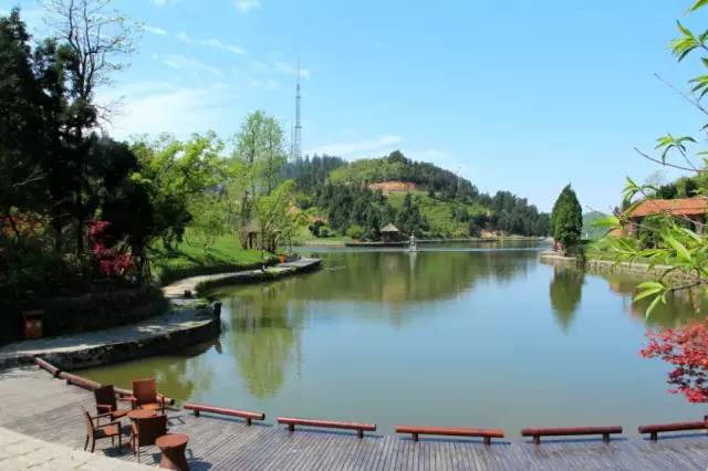 小区绿化植物配置案例实景 