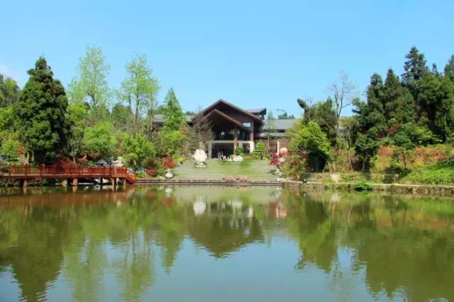 小区绿化植物配置案例实景 