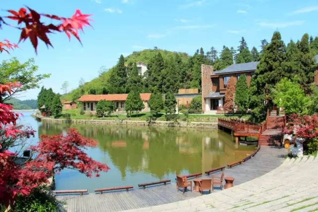 小区绿化植物配置案例实景 