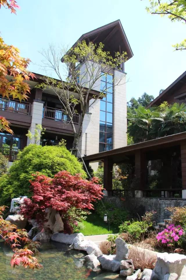 小区绿化植物配置案例实景 