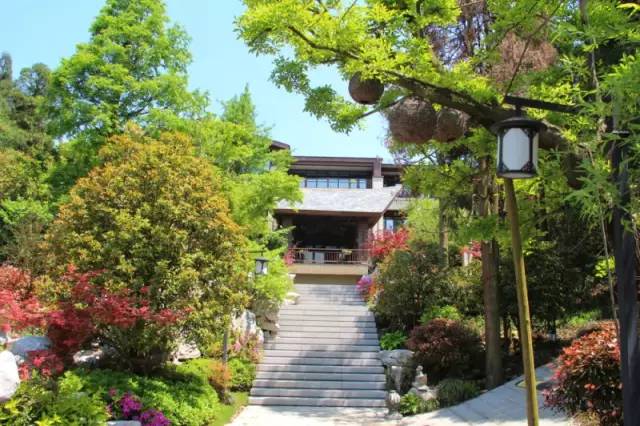 小区绿化植物配置案例实景 