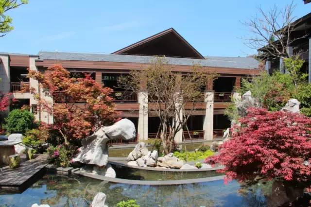 小区绿化植物配置案例实景 