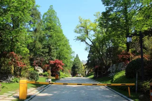 小区绿化植物配置案例实景 