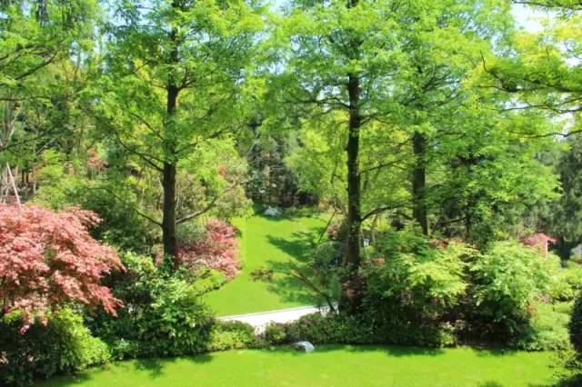 小区绿化植物配置案例实景 