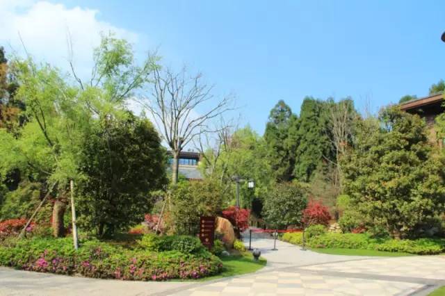 小区绿化植物配置案例实景 