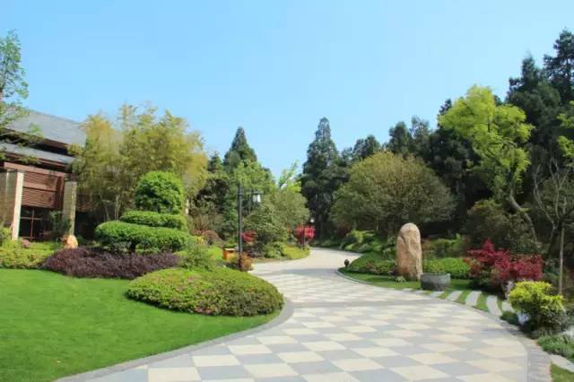 小区绿化植物配置案例实景 