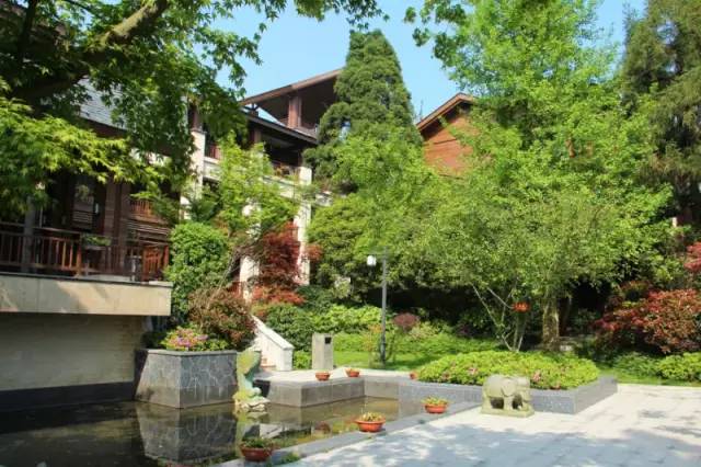 小区绿化植物配置案例实景 