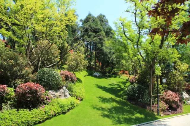 小区绿化植物配置案例实景 