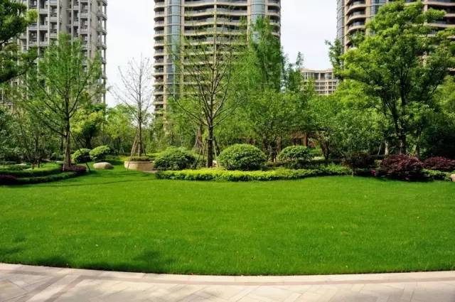 小区绿化植物配置案例实景 
