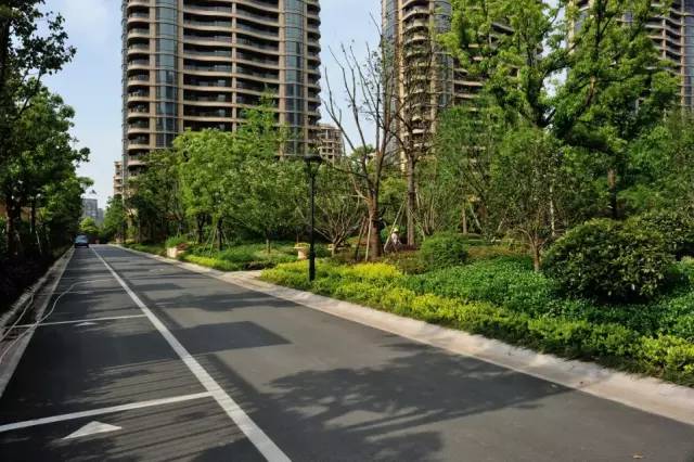 小区绿化植物配置案例实景 