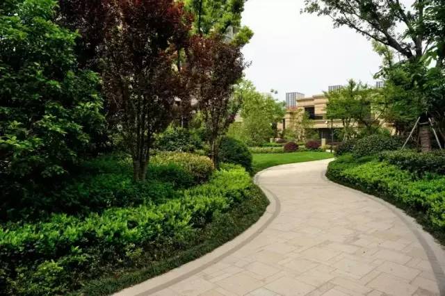 小区绿化植物配置案例实景 