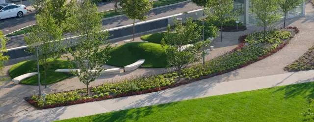 50个草坪微地形营造案例