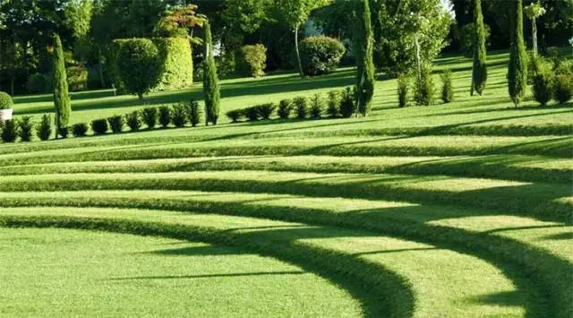 50个草坪微地形营造案例