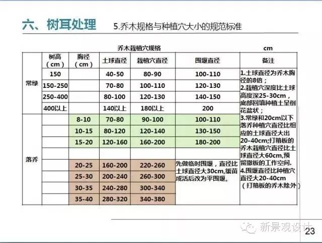 草坪平整与收边衔接