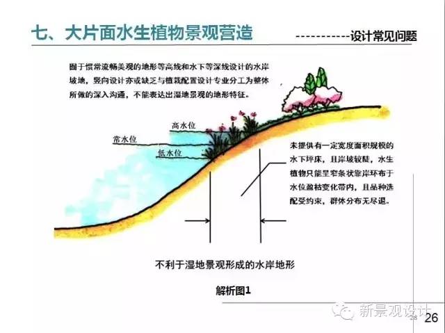 草坪平整与收边衔接