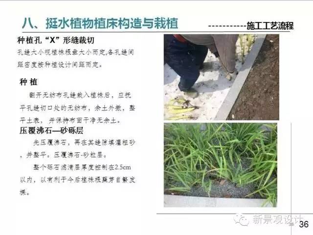 草坪平整与收边衔接