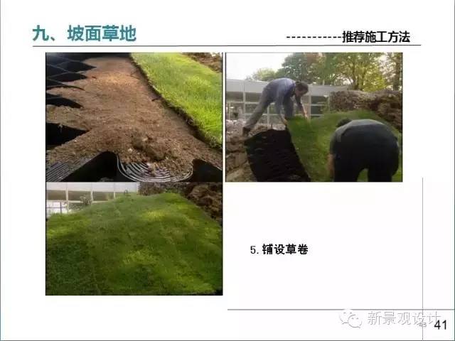 草坪平整与收边衔接