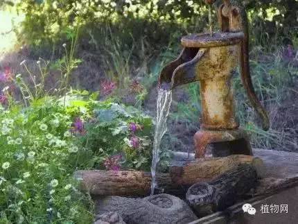 民间高手用锅碗瓢盆改造成的创意水景