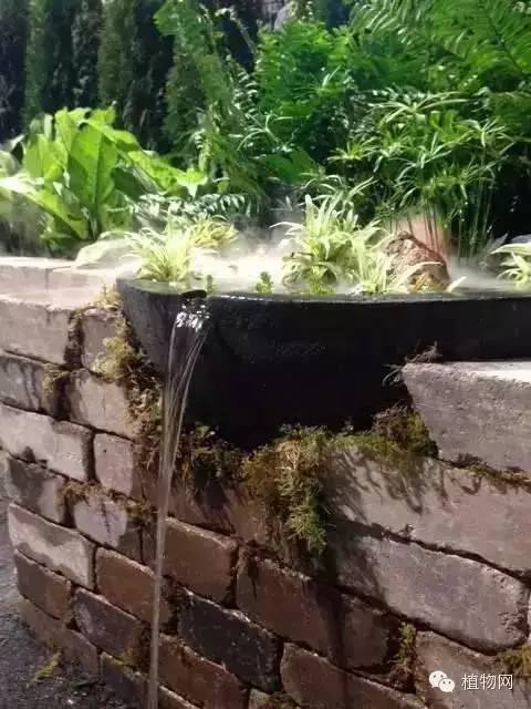 民间高手用锅碗瓢盆改造成的创意水景